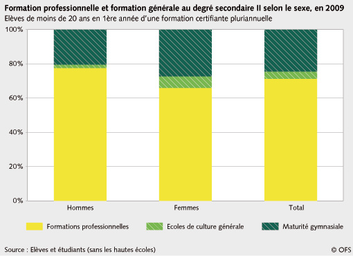 Formation professionnelle selon le sexe Statistique sexe